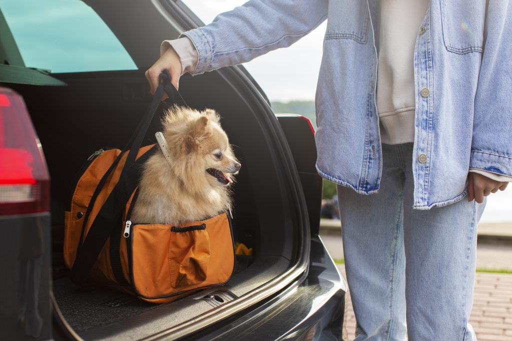 Dog Cage in Car: A Simple Guide for Safe Pet Travel